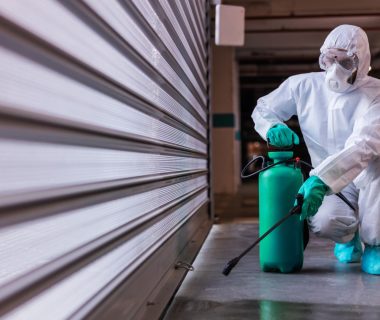 Deratisation à la Seyne-sur-Mer : quand faire appel à une intervention professionnelle ?